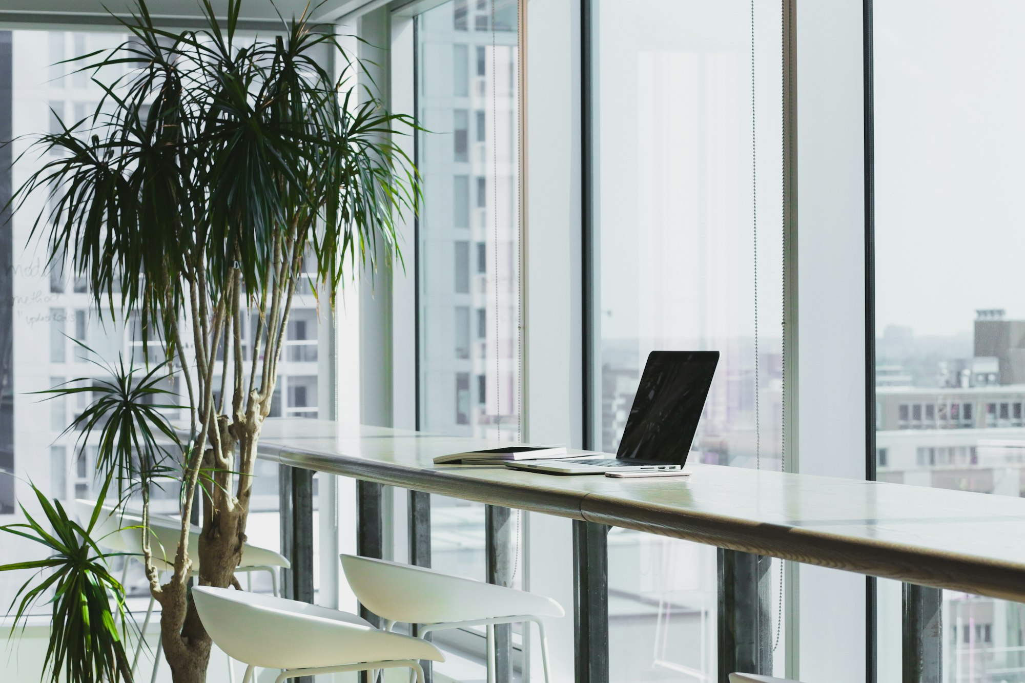 A quiet office with daylight