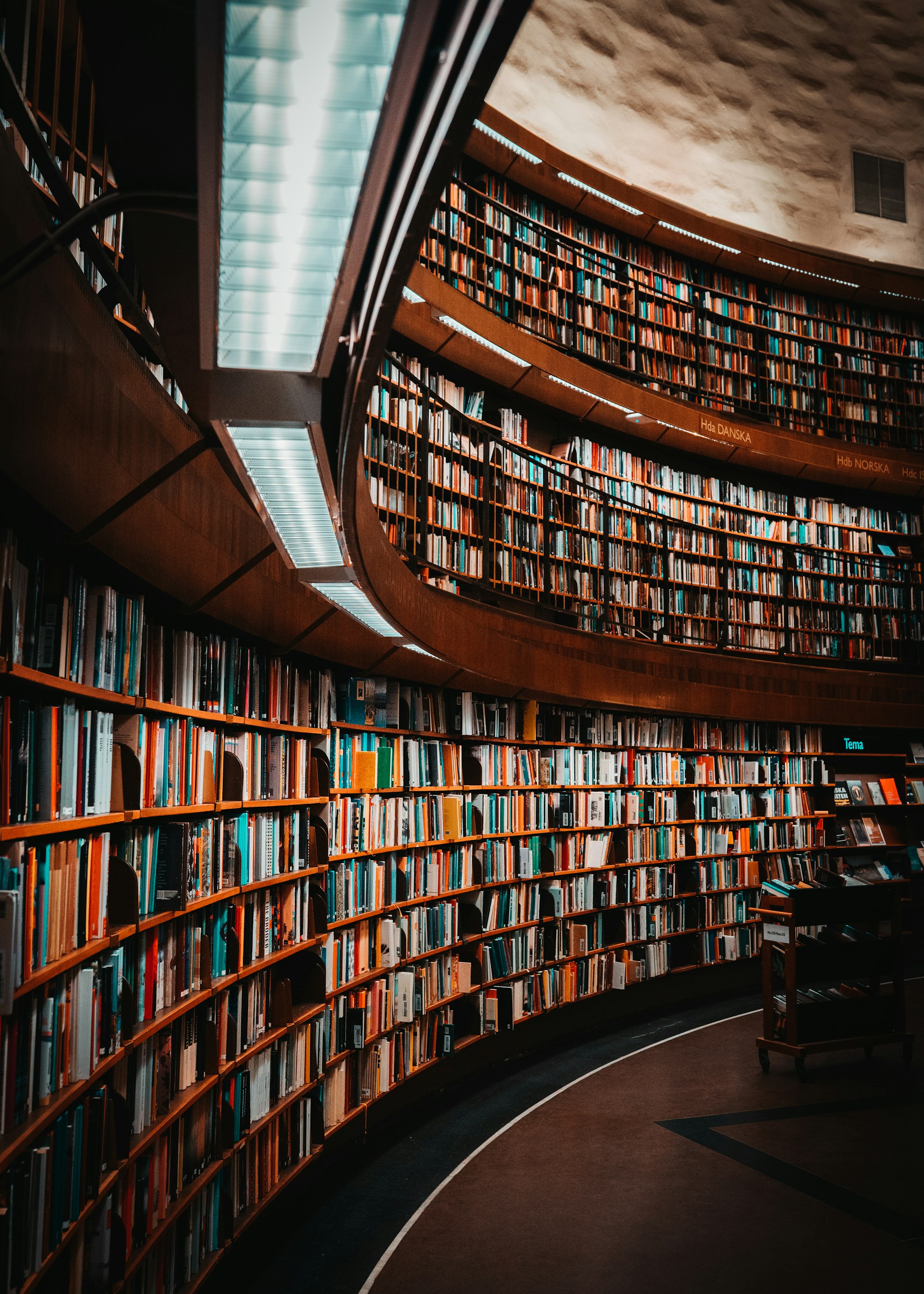 Curved library stacks lit from above